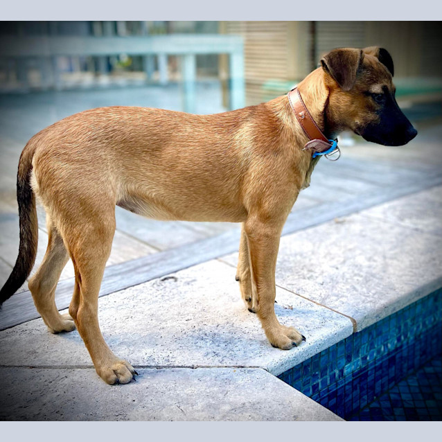 Photo of Chloe