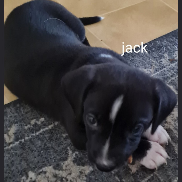 Photo of Jack