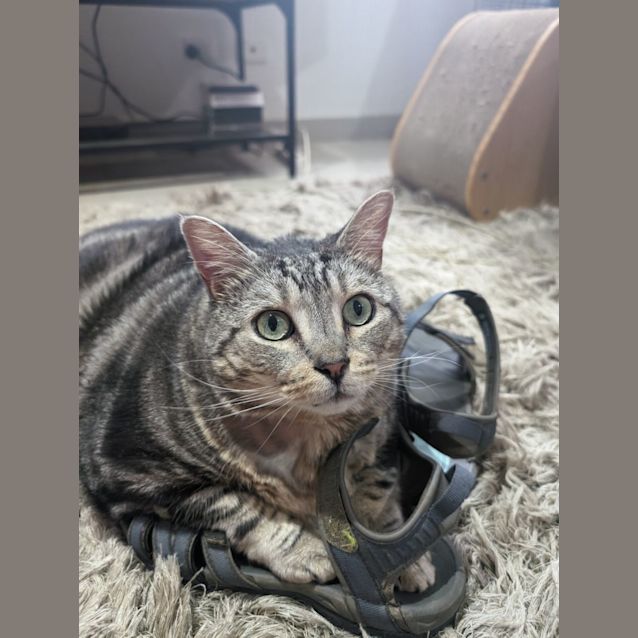Photo of Nora