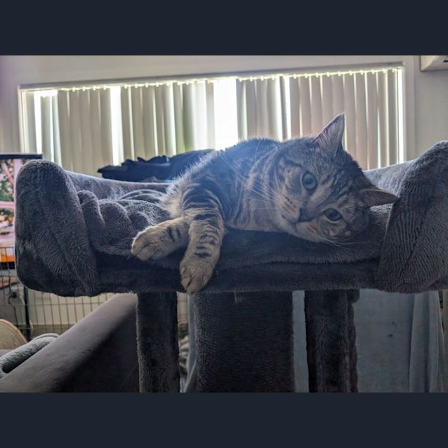Photo of Nora