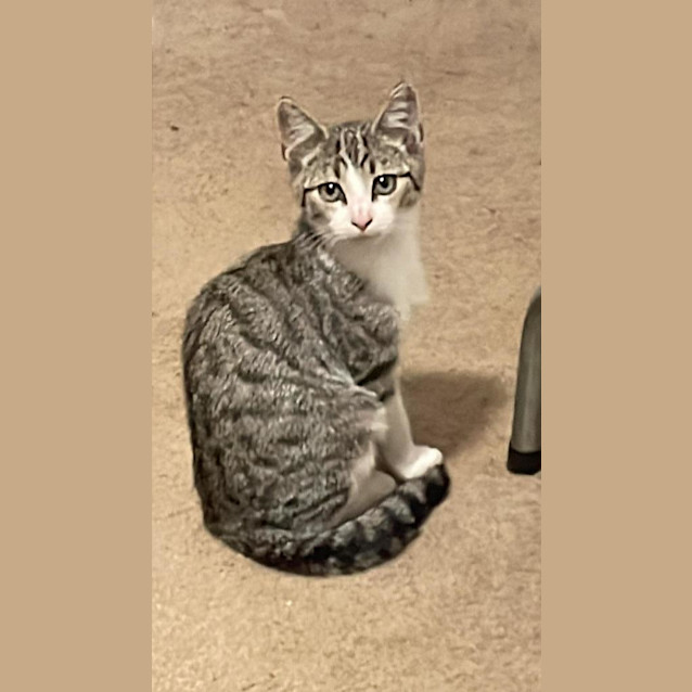 Photo of Jude