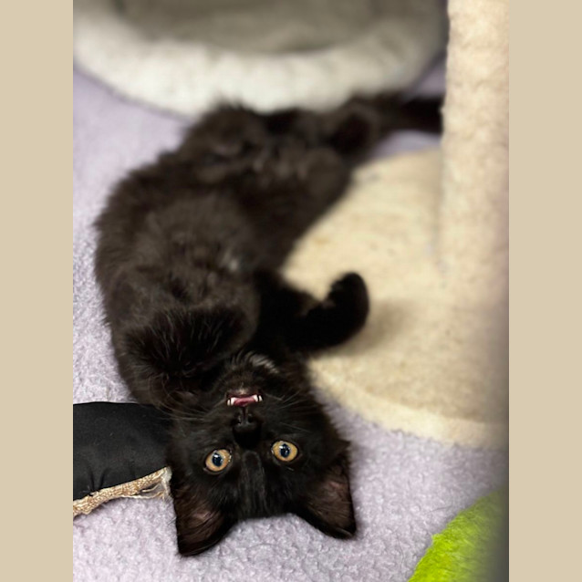 Photo of Elphaba