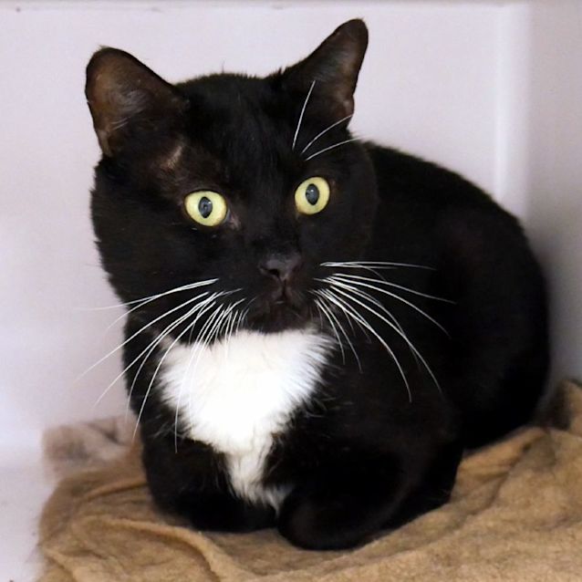 Photo of Hector Sua012180