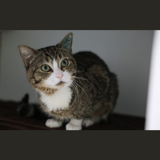 Photo of Doug