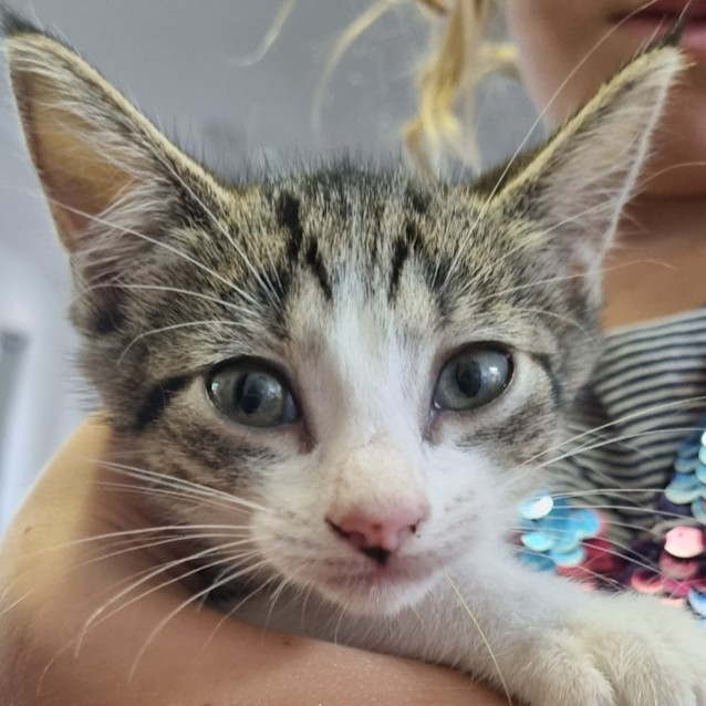 Photo of Huckleberry