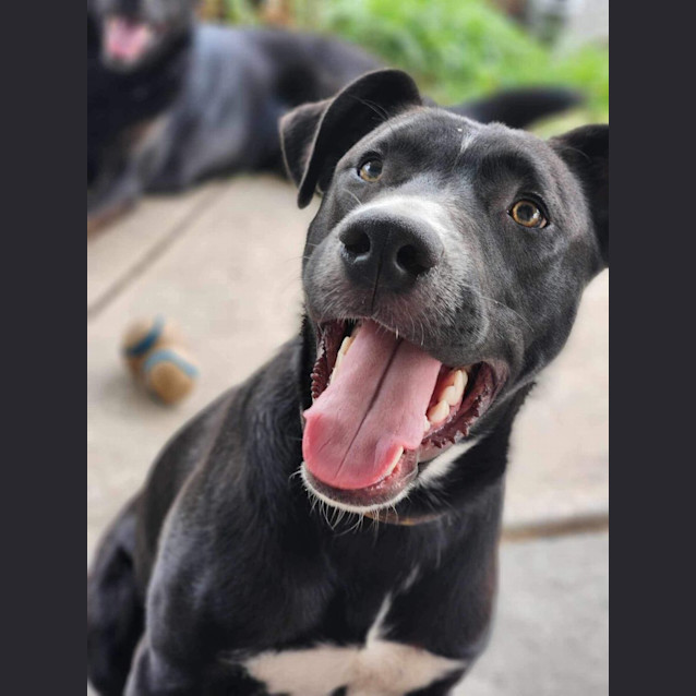 Photo of Phantom