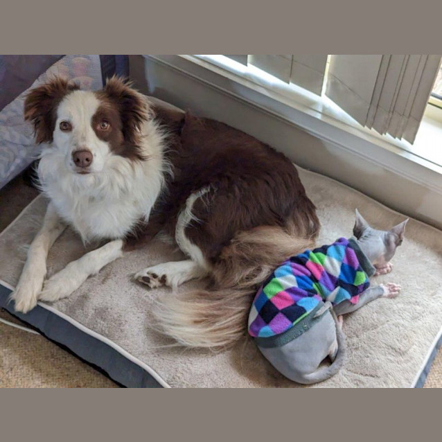 Photo of Edie Dubois