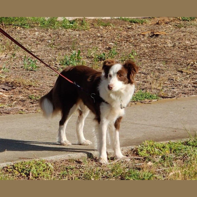 Photo of Edie Dubois