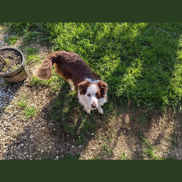Photo of Edie Dubois
