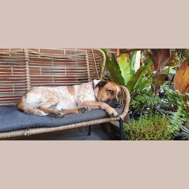 Photo of Rusty Dubois