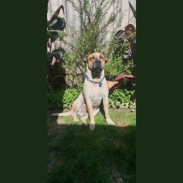 Photo of Rusty Dubois