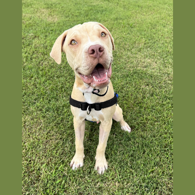 Photo of Solo