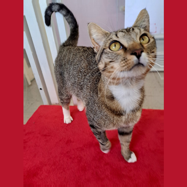 Photo of Stringbean