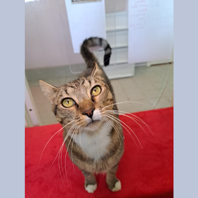 Photo of Stringbean
