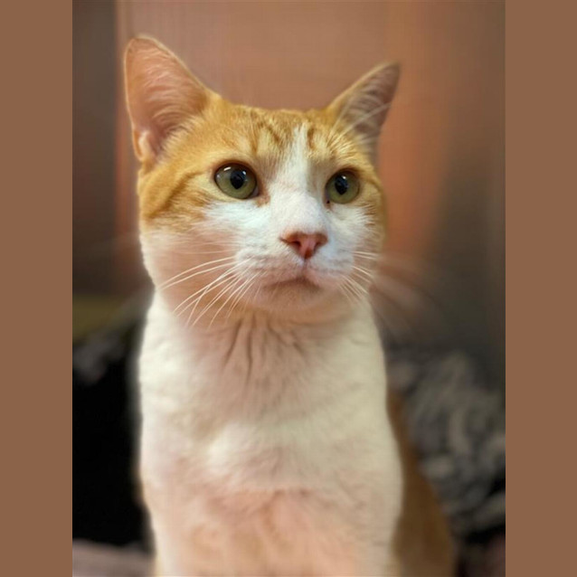 Photo of Ripley