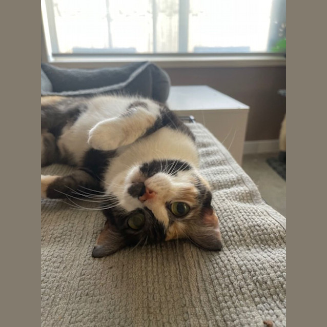 Photo of Miss Pickle