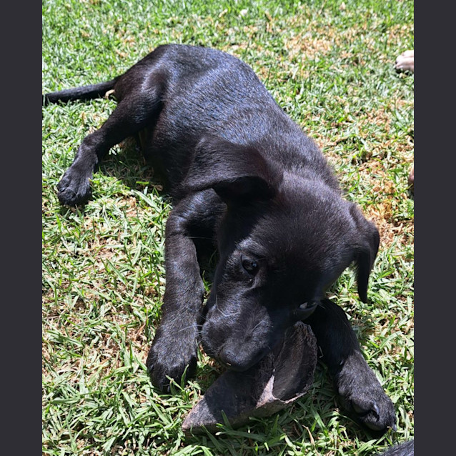Photo of Rudy