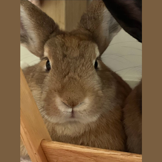 Photo of Miskcha & Marvel