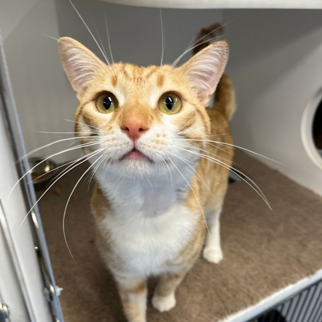 Photo of Tucky