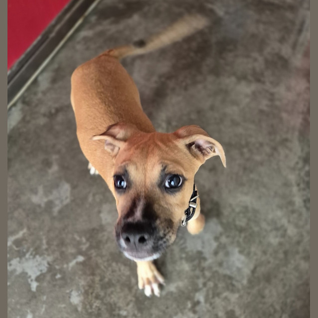 Photo of Hunter
