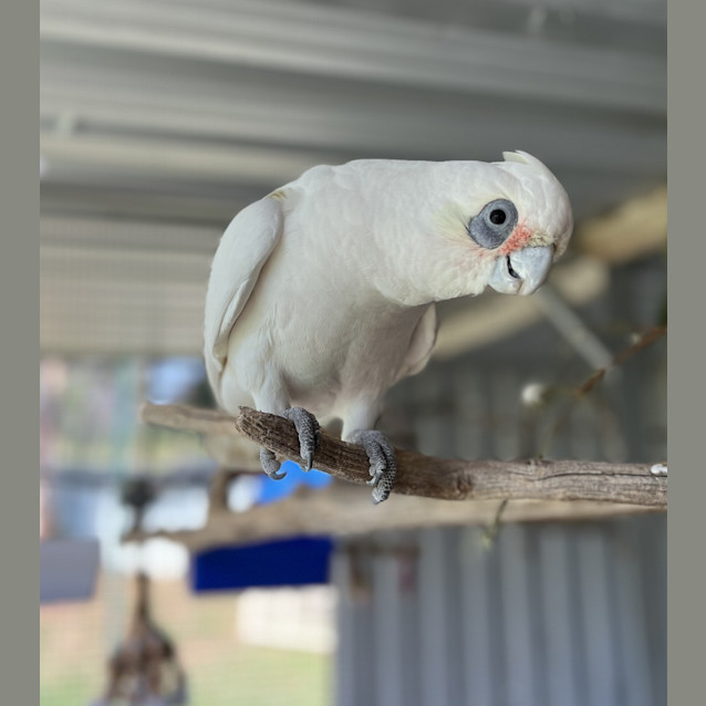 Photo of Ernie