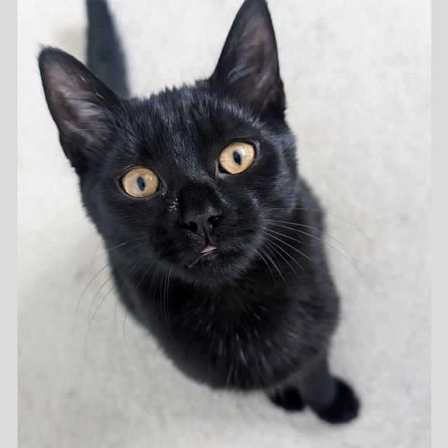 Photo of Xord   Located In Melbourne