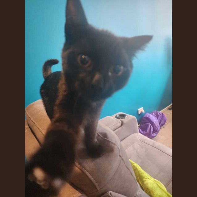 Photo of Xord   Located In Melbourne