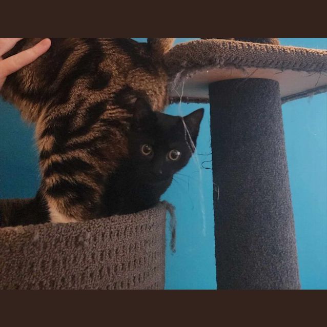 Photo of Xord   Located In Melbourne