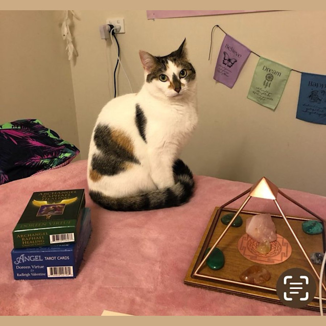 Photo of Missy Love Heart