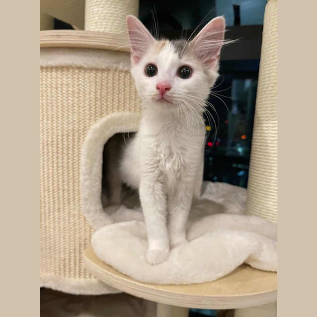Photo of Olivia