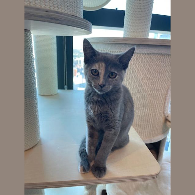 Photo of Mabel