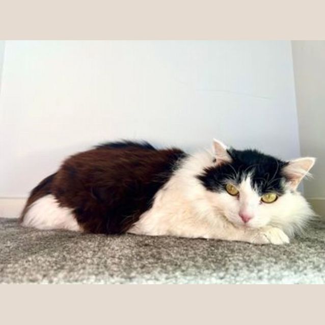 Photo of Indra