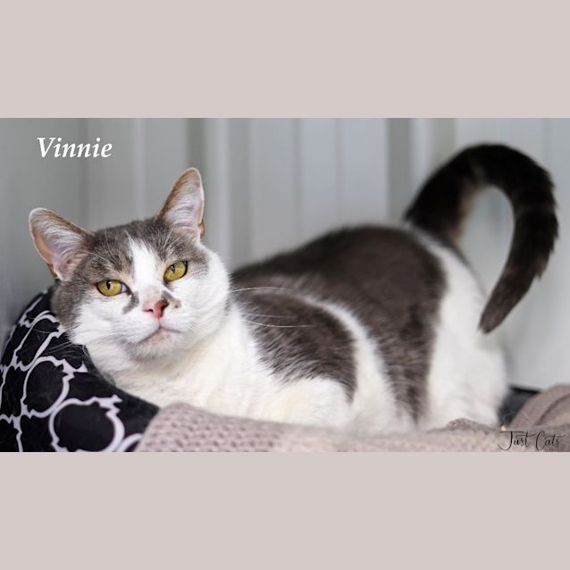 Photo of Vinnie   Mowbray