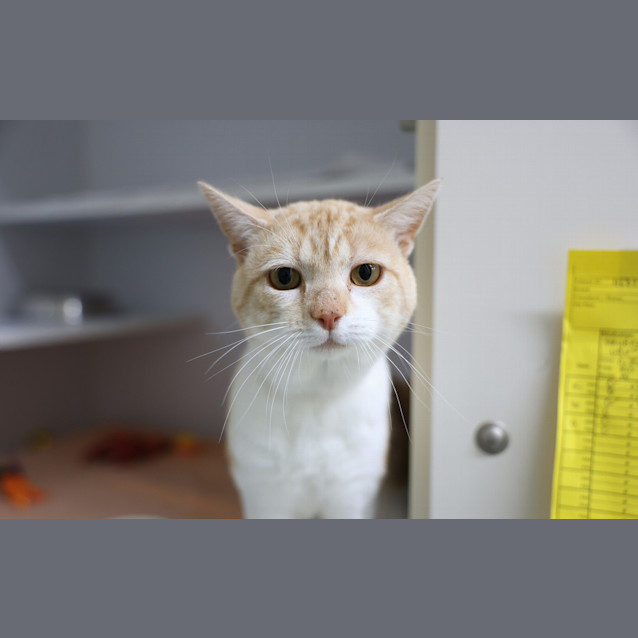 Photo of Gus