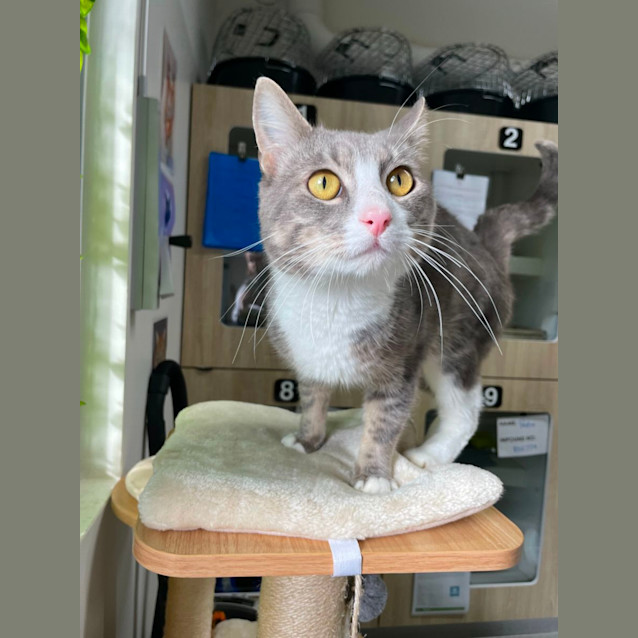 Photo of 🐻 Benji 5089 🐻