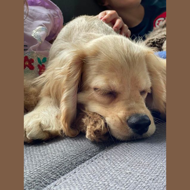 Photo of Anakin
