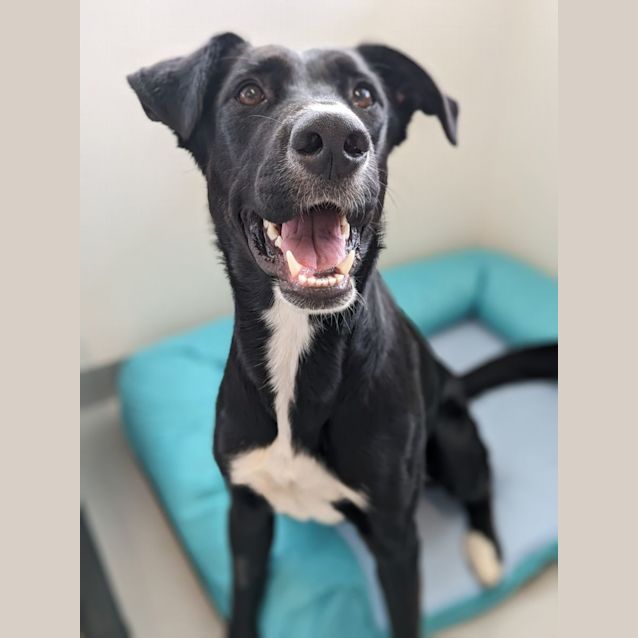 Photo of 🎵 La La C04819 🎵