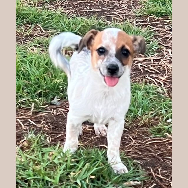 Photo of Betty And Wilma (Available Separately)