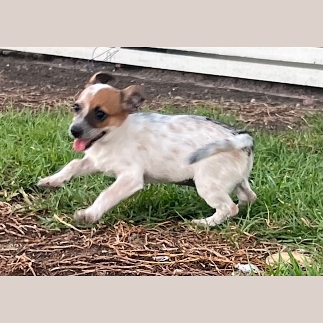 Photo of Betty And Wilma (Available Separately)