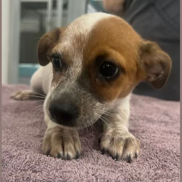 Photo of Betty And Wilma (Available Separately)