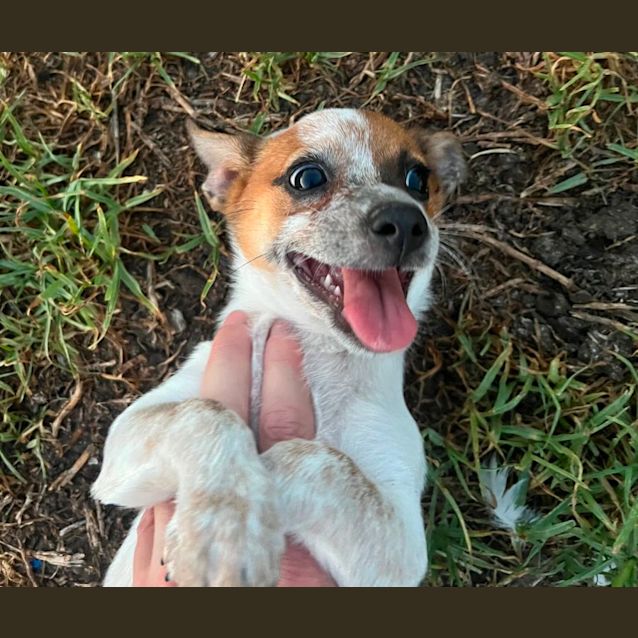 Photo of Betty And Wilma (Available Separately)