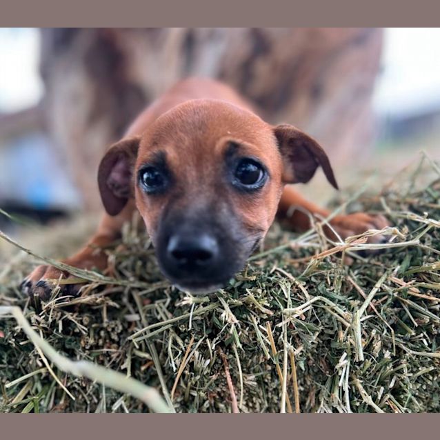 Photo of Betty And Wilma (Available Separately)