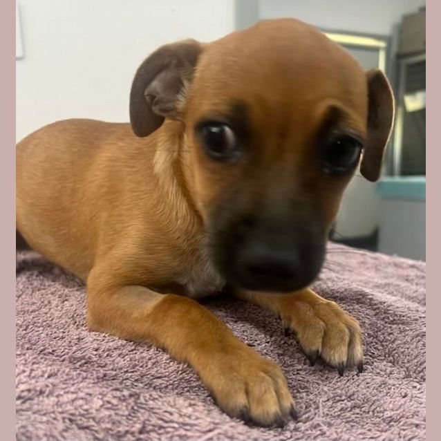 Photo of Betty And Wilma (Available Separately)