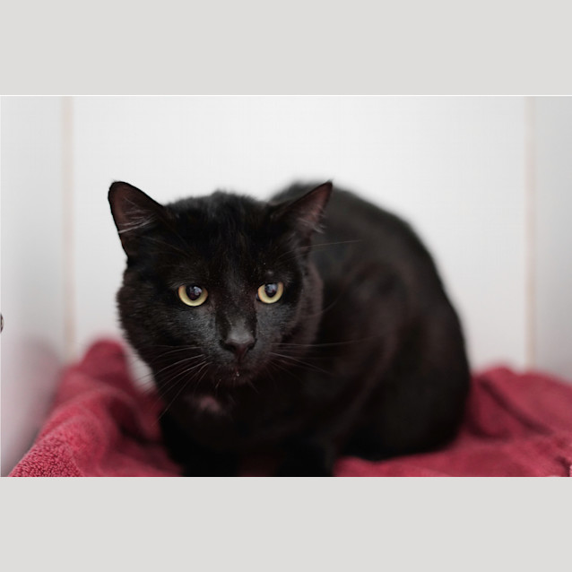 Photo of Simon