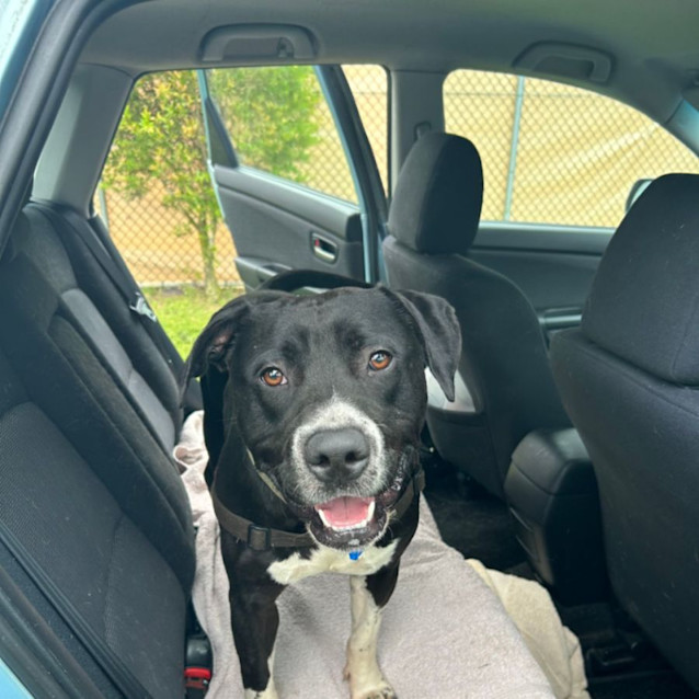 Photo of Zeus
