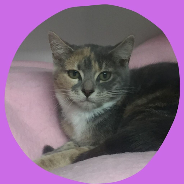 Photo of Bonnie