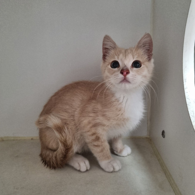 Photo of Clyde