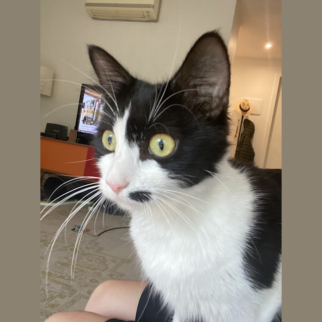 Photo of Meredith