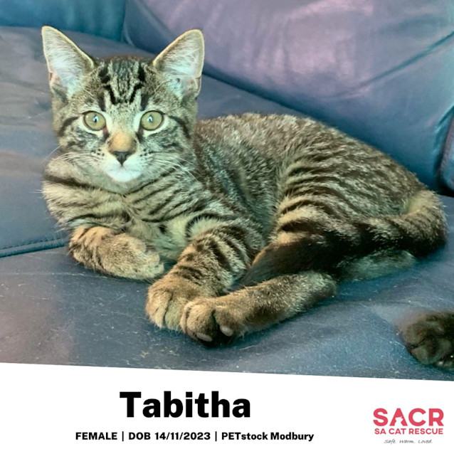Photo of Tabitha