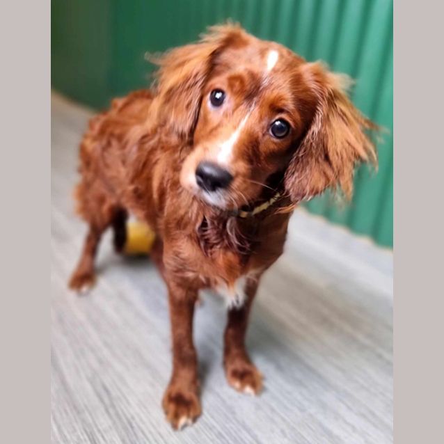 Photo of Reggie